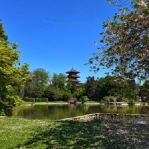 On aime toujours autant Bruxelles 🤩.#brussels #belgium #garden